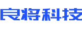 隆安县软件开发公司